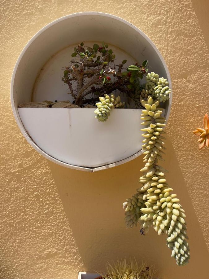 Eco House Golfinhos Apartamento Corralejo Exterior foto